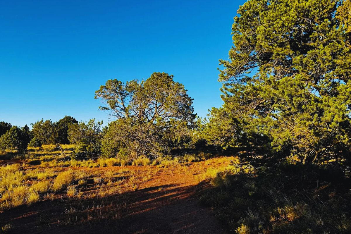 Small Hill - SIERRA LN WILLIAMS, AZ 86046