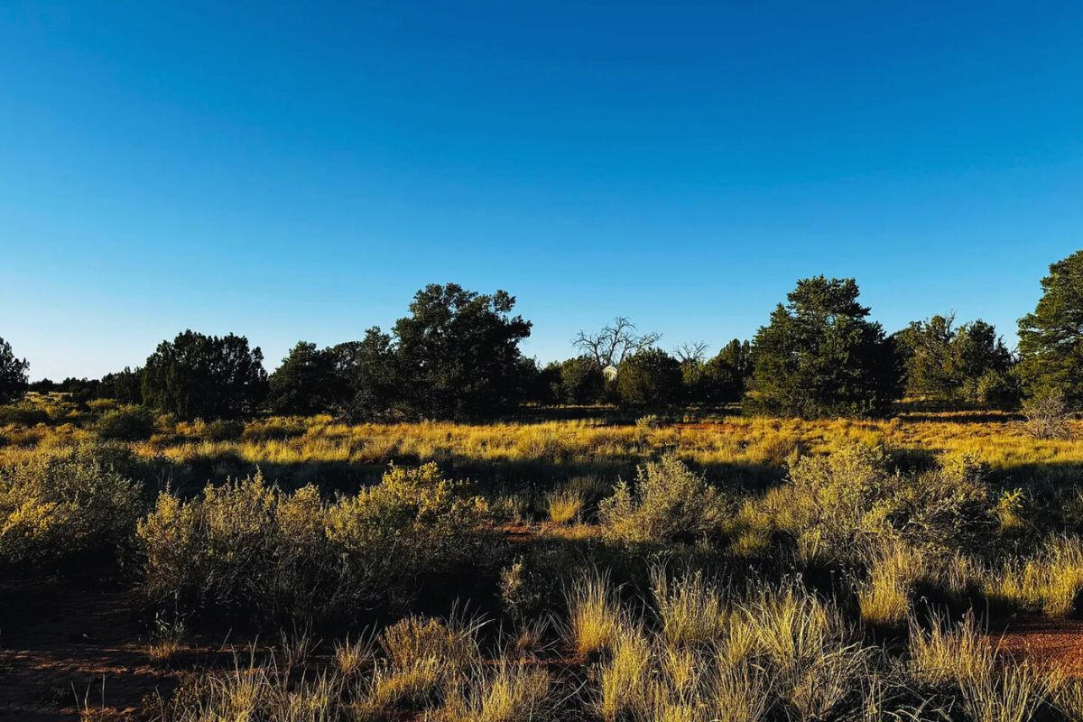 Small Hill - SIERRA LN WILLIAMS, AZ 86046