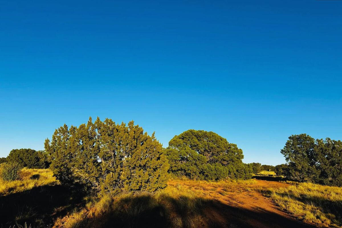 Small Hill - SIERRA LN WILLIAMS, AZ 86046
