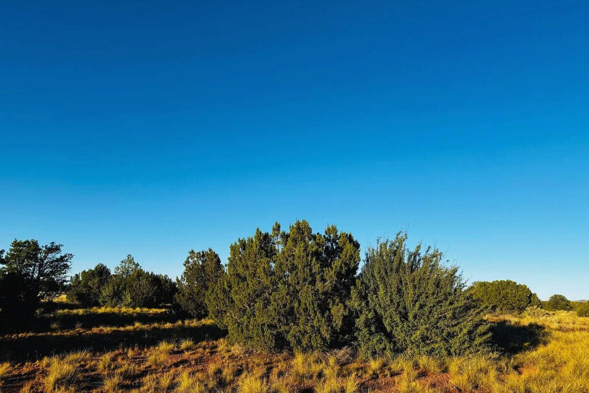 Small Hill - SIERRA LN WILLIAMS, AZ 86046