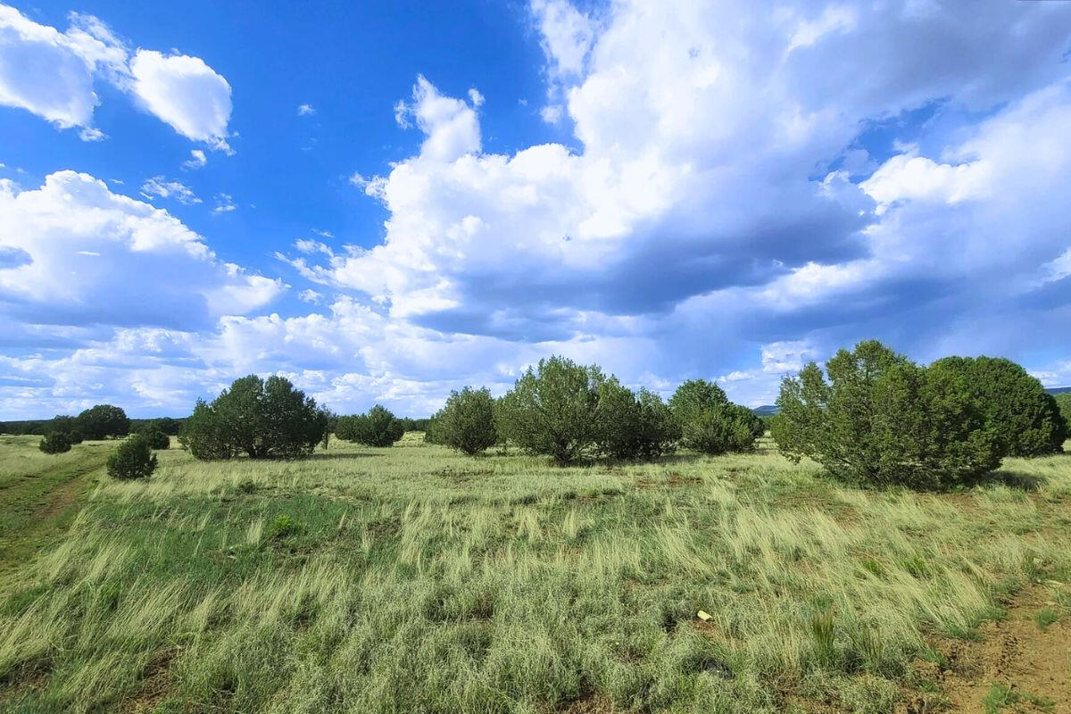 Small Hill - SIERRA LN WILLIAMS, AZ 86046