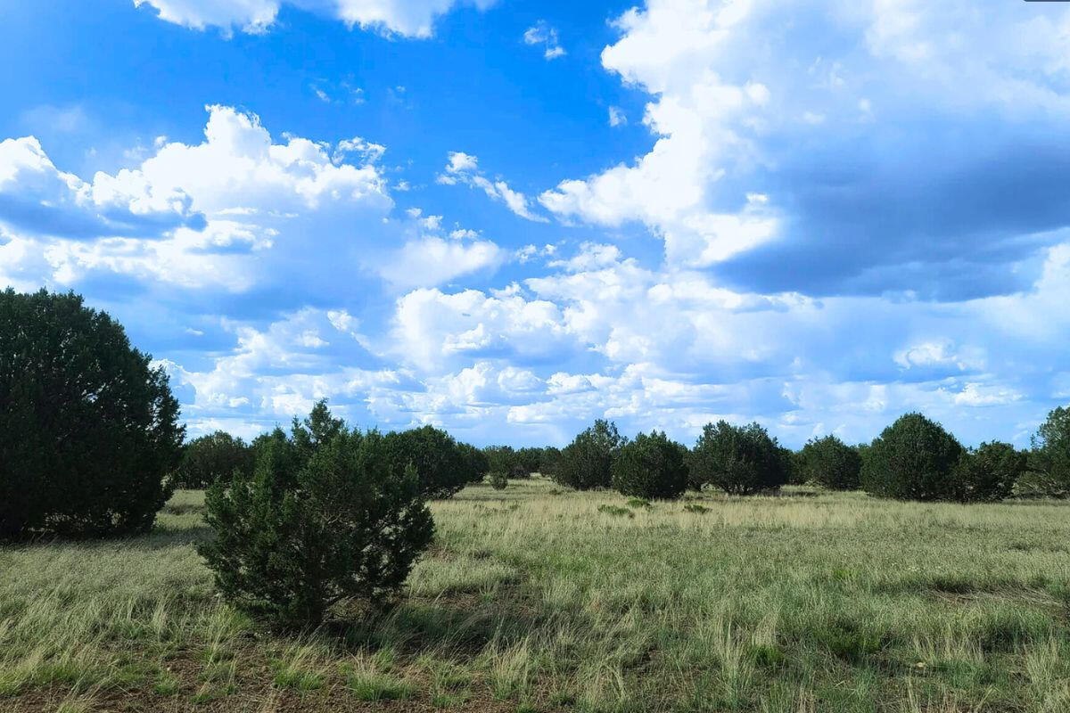 Small Hill - SIERRA LN WILLIAMS, AZ 86046