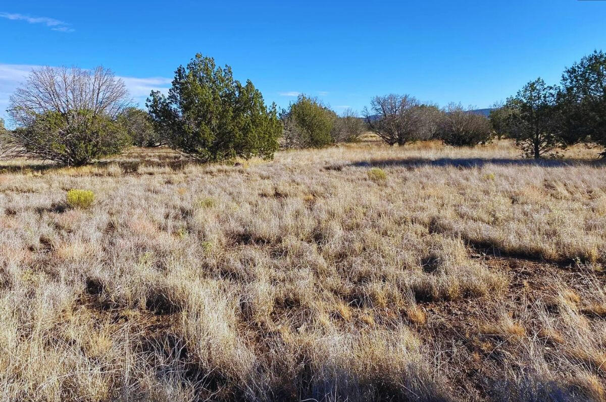 Small Hill - SIERRA LN WILLIAMS, AZ 86046