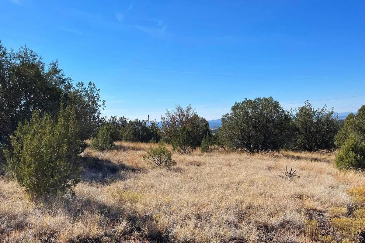 Small Hill - SIERRA LN WILLIAMS, AZ 86046
